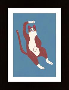 Brown And White Cat 02 Poster
