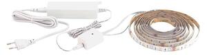 Eglo 31409 - LED RGBW dimbar remsa 5m LED/11W/12/230V 2700-6500K