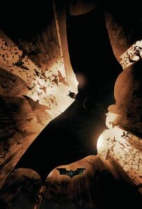 Poster, Affisch The Dark Knight Trilogy - Bat Wings
