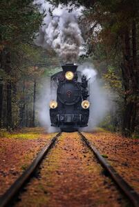 Fotografi Through the autumn forest, Rafal R. Nebelski