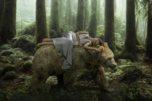 Fotografi Dream Bear, Marcel Egger