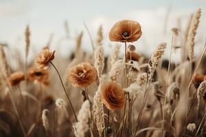 Fotografi Orange Poppy Field, Treechild