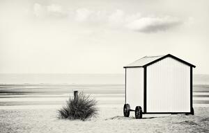 Fotografi End of season, Gilbert Claes