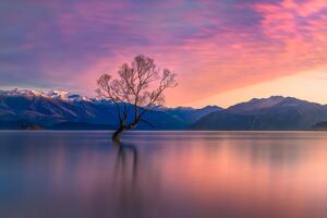 Fotografi Pastel evening, Jianping Yang