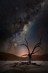 Fotografi Namibia Stars, Marcel Egger