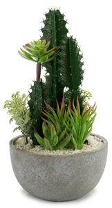 Kaktusarrangemang i keramikkruka