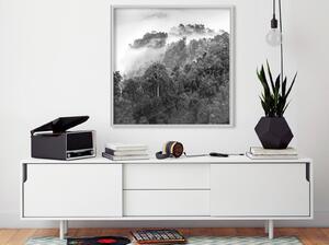 Inramad Poster / Tavla - Foggy Forest - 20x20 Svart ram