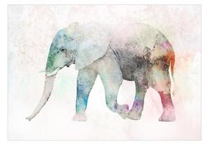 Fototapet - Painted Elephant - 200x140