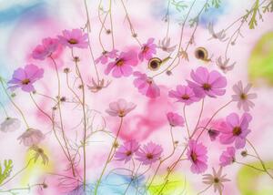 Fotografi Autumn dream, Miharu, (40 x 30 cm)