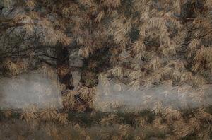 Illustration Pine tree, Nel Talen, (40 x 26.7 cm)