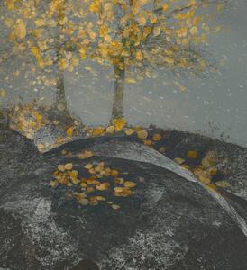 Illustration Falling leaves, Nel Talen, (35 x 40 cm)
