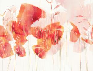Illustration Modern poppies, Nel Talen, (40 x 30 cm)