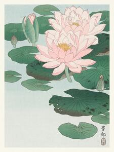 Konsttryck Water Lily / Lotus (Japandi Vintage) - Ohara Koson, (30 x 40 cm)