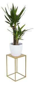 Blomställ 40x24 cm guld
