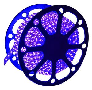 Aigostar - LED list för utomhusbruk 50m LED/300W/230V blå IP65
