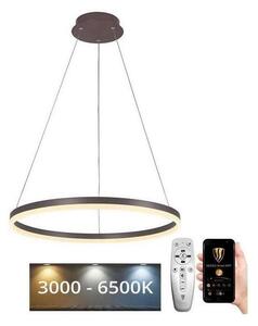 Brilagi - LED ljusreglerad ljuskrona på textilsladd CIRCLE LED/42W/230V 3000-6500K brun + +Fjärrkontrol