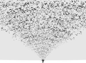 Fotografi The Dark Half, Hossein Zare