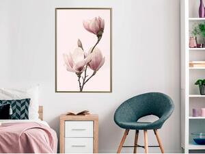 Inramad Poster / Tavla - Blooming Magnolias III - 30x45 Svart ram med passepartout