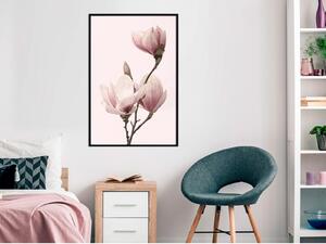 Inramad Poster / Tavla - Blooming Magnolias III - 20x30 Guldram
