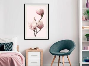 Inramad Poster / Tavla - Blooming Magnolias III - 20x30 Guldram