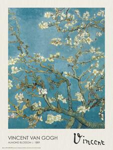 Poster, Affisch Almond Blossoms, Vincent van Gogh