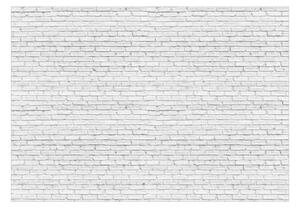 Fototapet - Gray Brick - 150x105