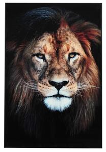 NFG - BILDE Lion 60x90 glas