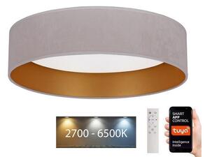 Brilagi - LED Dimbar lampa VELVET SMART LED/24W/230V Wi-Fi Tuya + fjärrkontroll