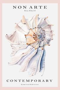 Illustration Non Arte Sea Shell no.1, Rikke Londager Boisen