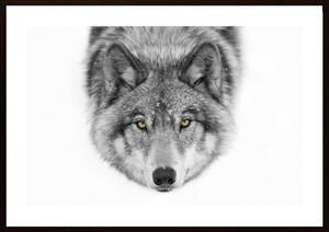 Yellow E1 - Timber Wolf Poster