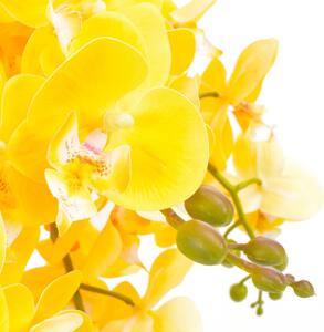 Konstväxt Orkidé med kruka 60 cm gul