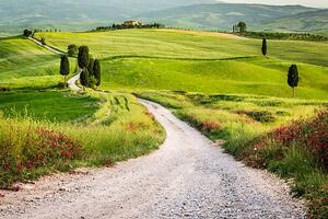 Fotografi Dirt road and green field in Tuscany, Shaiith