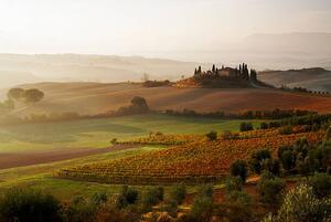 Fotografi View across Tuscan landscape., Gary Yeowell