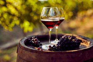 Fotografi Two glasses of red wine in the vineyard, Rostislav_Sedlacek