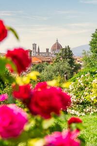 Fotografi Florence, Tuscany, Italy. Roses and cityscape, Francesco Riccardo Iacomino