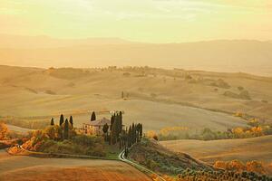 Fotografi Farm in Tuscany, mammuth