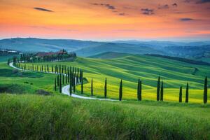 Fotografi Famous Tuscany landscape with curved road, Janoka82