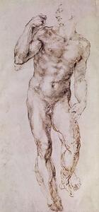 Michelangelo Buonarroti - Konsttryck Sketch of David with his Sling, 1503-4, (23.3 x 50 cm)