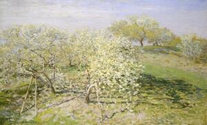 Bildreproduktion Spring – Fruit Trees in Bloom (1873), Claude Monet