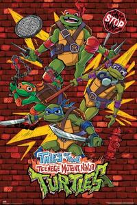 Poster, Affisch Tales of the Teenage Mutant Ninja Turtles