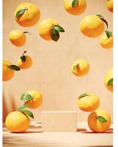 Poster - Lemons - 21x30
