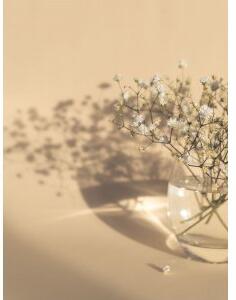 Poster - white flowers - 21x30