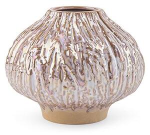 Eden outcast - Eden outcast - Sprout - Vas - Sprout low - H11.5 x W14 cm