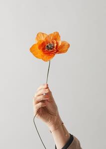 Studio About - Paper Flower, Poppy - Paper Flowers - Orange - Ø13 x H43 cm