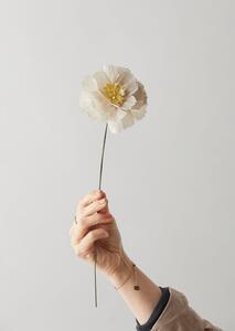 Studio About - Paper Flower, Peony - Paper Flowers - Yellow - Ø12 x H42 cm