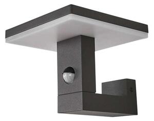 Olesia Utomhus Vägglampa w/Sensor Dark Grey/Opal - Lucande