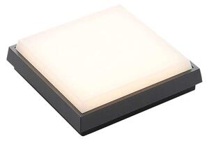 Amra LED Square Utomhus Plafond 17,5 Dark Grey - Lucande