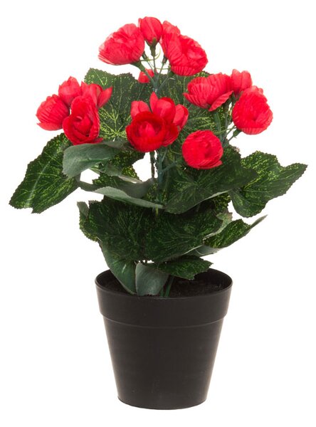 4Living Konstgjord Begonia 28 cm - Röd