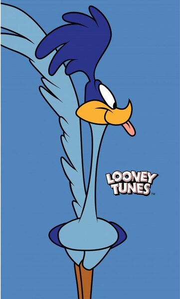 Looney Tunes Handduk Hjulben 30x50cm Blå