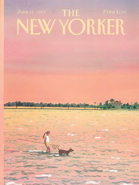 Illustration The NY Magazine Cover 346